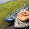 Low Tide, Galway Bay